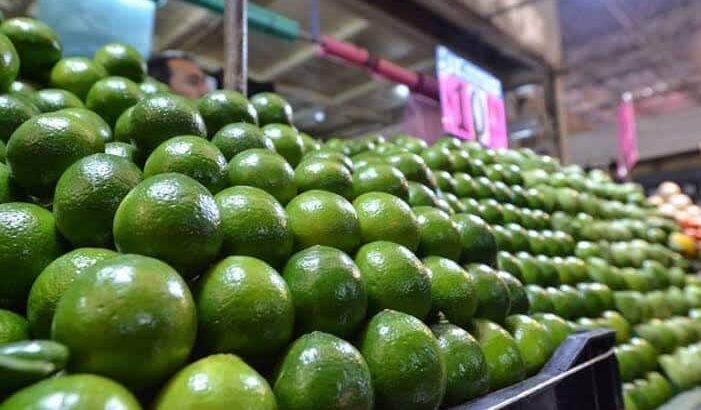 Kilo de limón en Zamora se vende hasta en 40 pesos