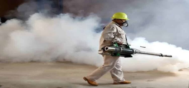 Michoacán se mantiene libre de chikungunya