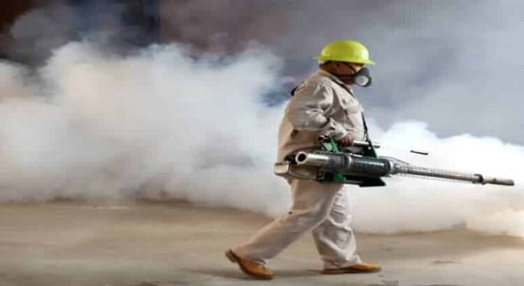 Michoacán se mantiene libre de chikungunya