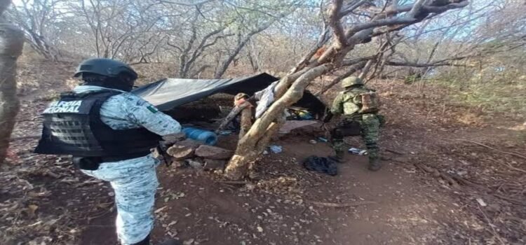 Ejército desmantela dos ‘narcocampamentos’ en Michoacán