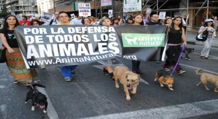 Aumentó 100% crueldad animal cometida por menores de edad, desde el 2018