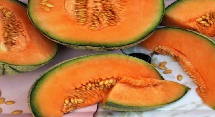 Michoacán listo para enviar 800 mil cajas de melón a Estados Unidos y Canadá