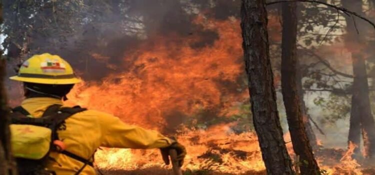 Cofom prevé crítica temporada de incendios forestales en Michoacán
