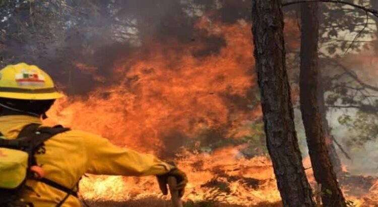 Cofom prevé crítica temporada de incendios forestales en Michoacán