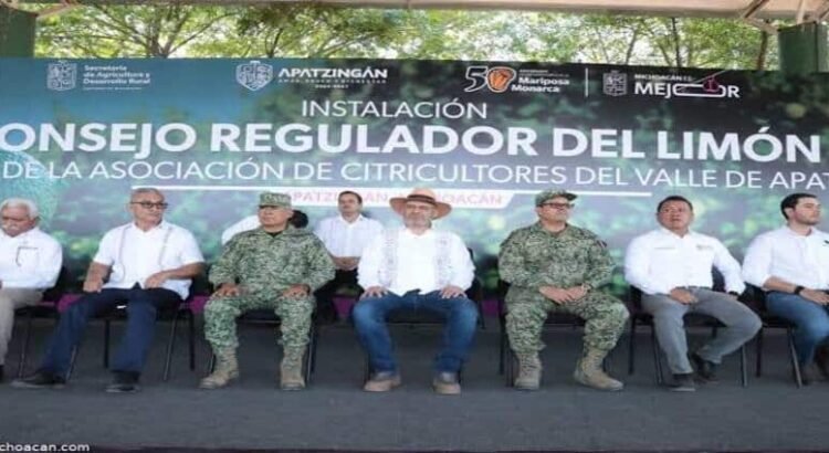 Michoacán llevará limón en polvo a mercados internacionales Michoacán llevará limón en polvo a mercados internacionales