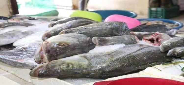 Advierten sobre riesgos al consumir pescados y mariscos Advierten sobre riesgos al consumir pescados y mariscos