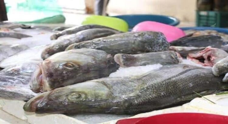 Advierten sobre riesgos al consumir pescados y mariscos