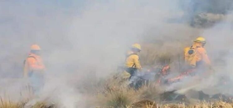 Apagan brigadas 14 incendios forestales en Michoacán