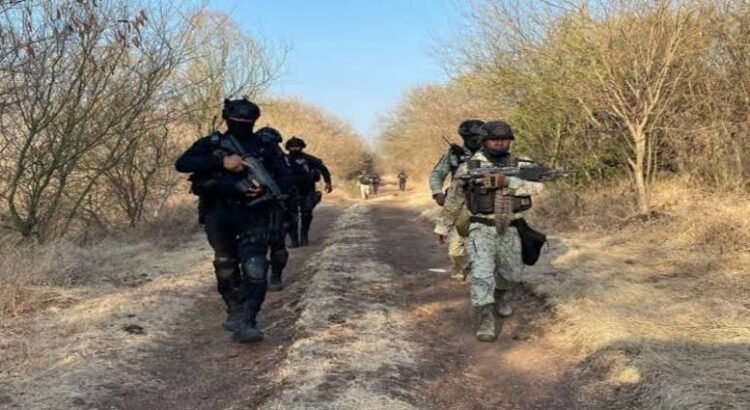 Enfrentamientos en BCS y Michoacán deja 6 muertos, un arresto y armas largas decomisadas