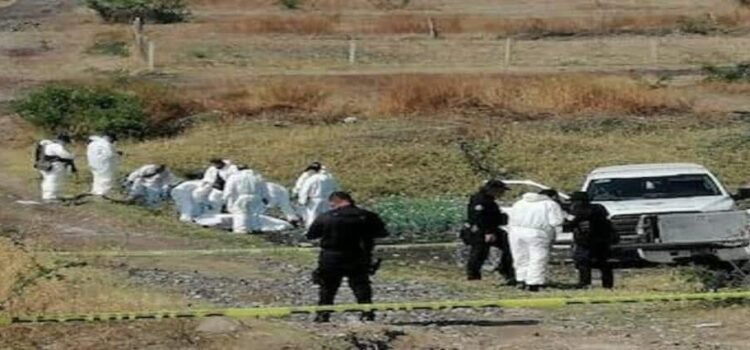 Localizan fosa clandestina con tres osamentas en Aquila, Michoacán