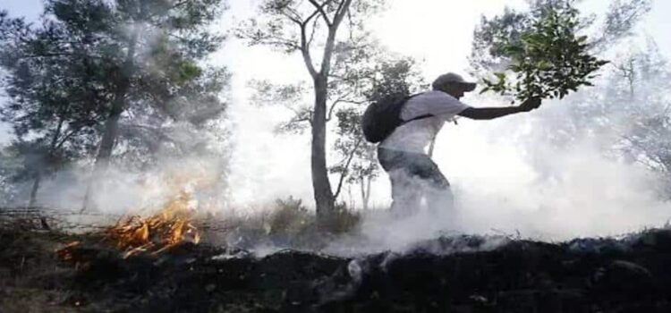 Se coordinan autoridades para prevenir incendios forestales en Michoacán