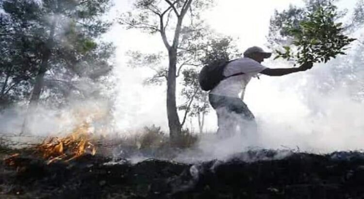 Se coordinan autoridades para prevenir incendios forestales en Michoacán