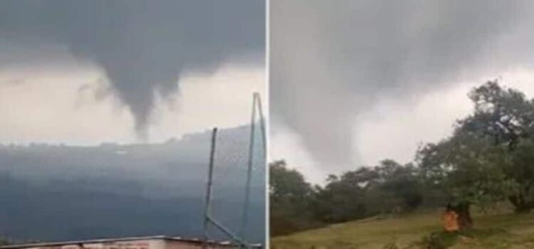 Se forma un tornado en Michoacán; tira árboles y vuela techumbres Se forma un tornado en Michoacán; tira árboles y vuela techumbres
