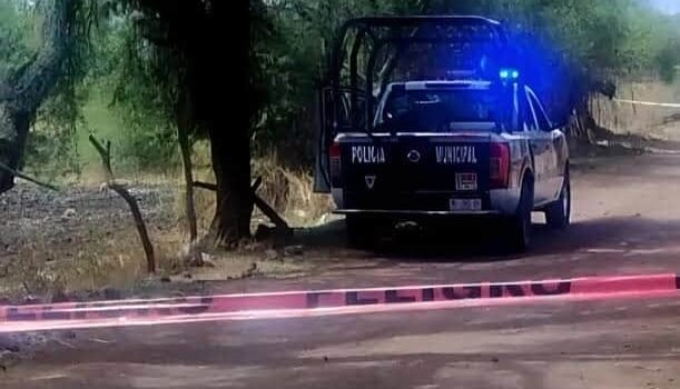 Asesinan a agricultor de 53 años en Zamora