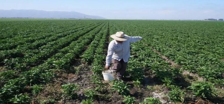 México confirma muerte de migrante de Michoacán de redada en California