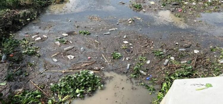 Recogieron concesionarios de basura 40 toneladas en ríos de Morelia