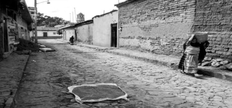 Mujeres indígenas en Michoacán enfrentan desafíos en salud, educación y empleo