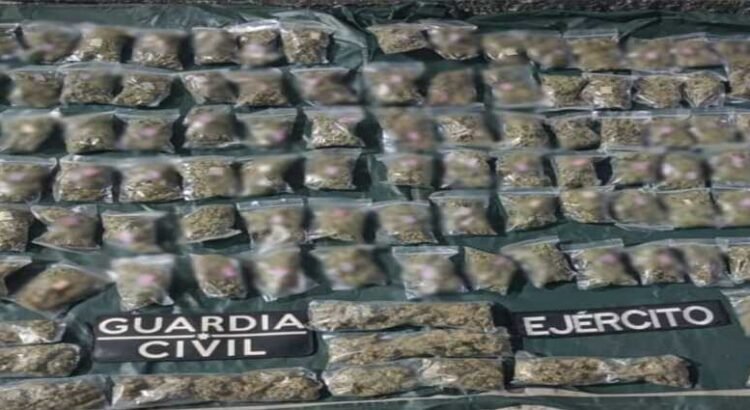 Aseguran 109 envoltorios de marihuana en Apatzingán