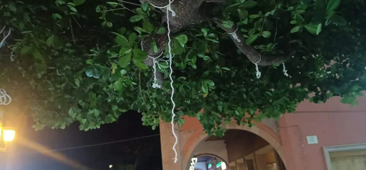 Madres buscadoras denuncian al Gobierno de Zamora por retirar fotos de desaparecidos