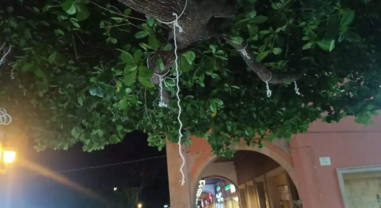 Madres buscadoras denuncian al Gobierno de Zamora por retirar fotos de desaparecidos Madres buscadoras denuncian al Gobierno de Zamora por retirar fotos de desaparecidos