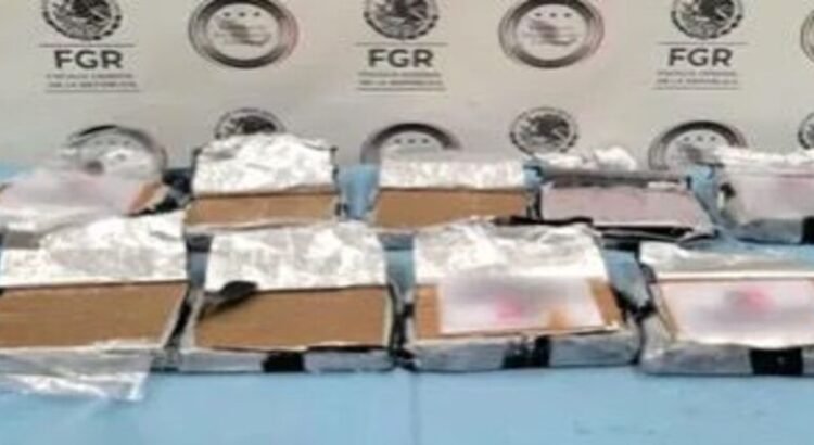 Decomisan cocaína en carrito de helados con Plan Michoacán Decomisan cocaína en carrito de helados con Plan Michoacán