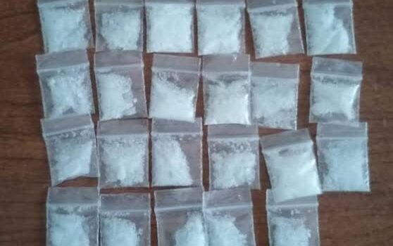 Asegura SSP 150 envoltorios de metanfetamina en Zamora