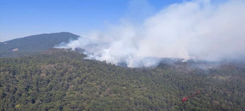 Gobierno de Michoacán interviene para combatir incendio forestal en Salvador Escalante