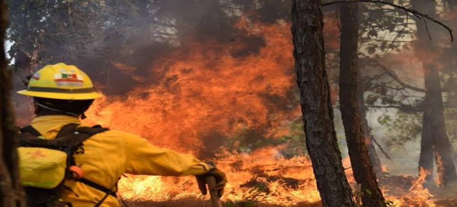 Michoacán reduce más del 44% el daño por incendios forestales