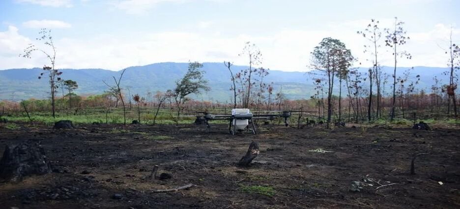 Drones reforestan zonas de difícil acceso en Michoacán con el programa Bio Renace