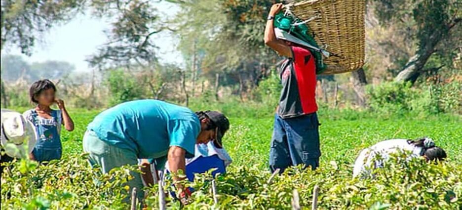 Persisten casos de trabajo infantil en Michoacán; DIF refuerza acciones para combatirlos