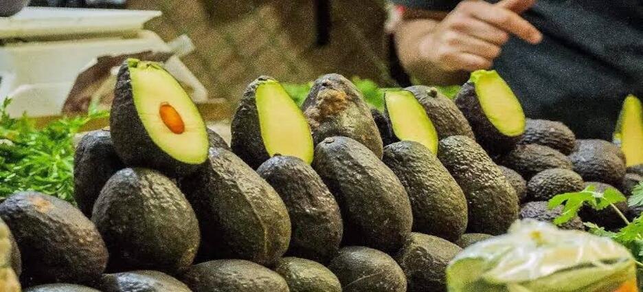 Reactivan exportación de aguacate a Estados Unidos tras alerta de seguridad en Michoacán