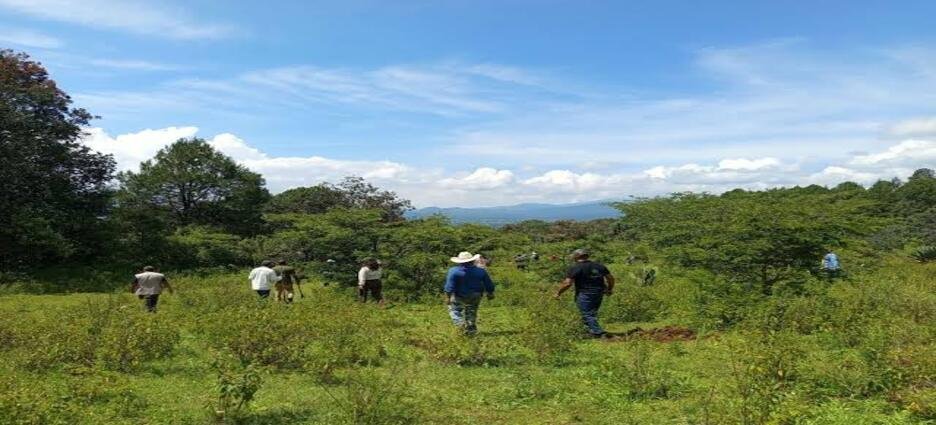 Michoacán triplica su superficie de conservación forestal y supera las 212 mil hectáreas protegidas